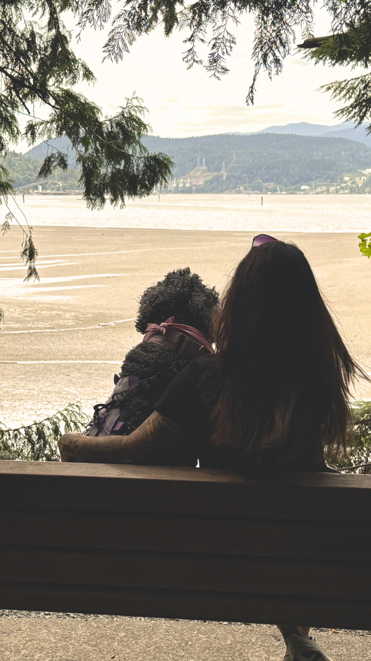 mobile header.png