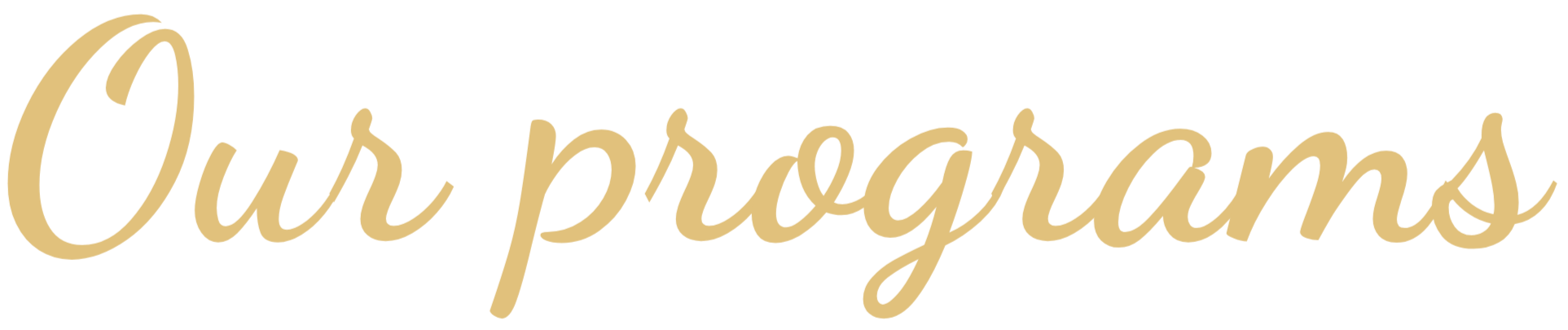 Our programs of support