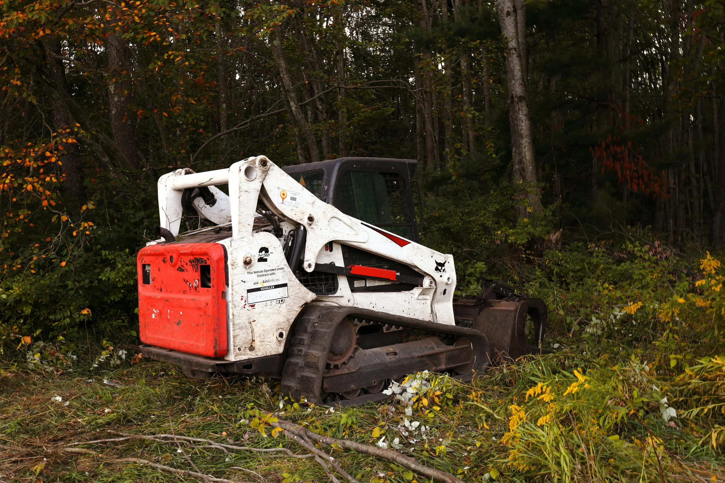 A partially visible small bulldozer or skid steer loader with tracks, parked amid fallen leaves and branches in a dense wooded area during autumn.
