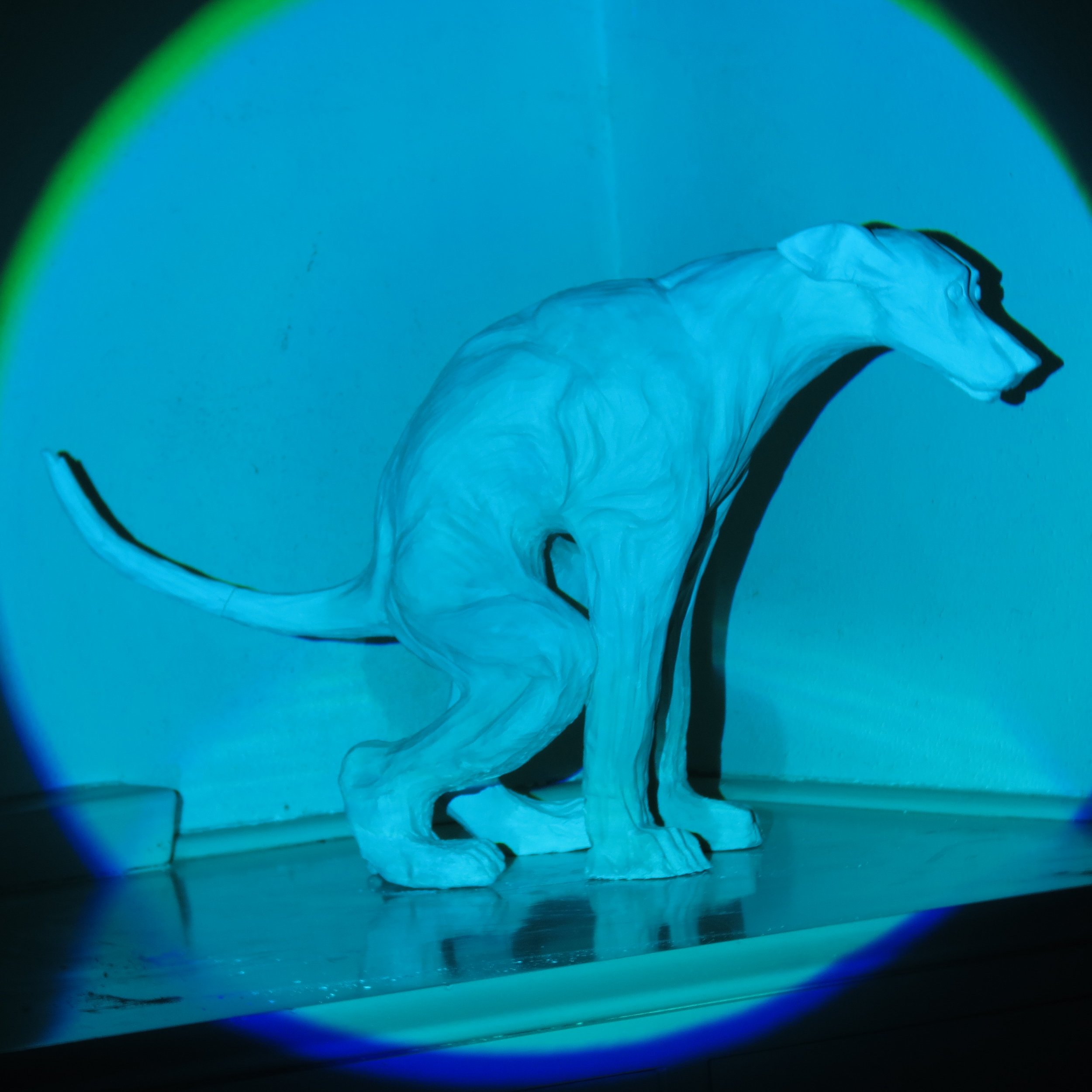 GREYHOUND POTTY