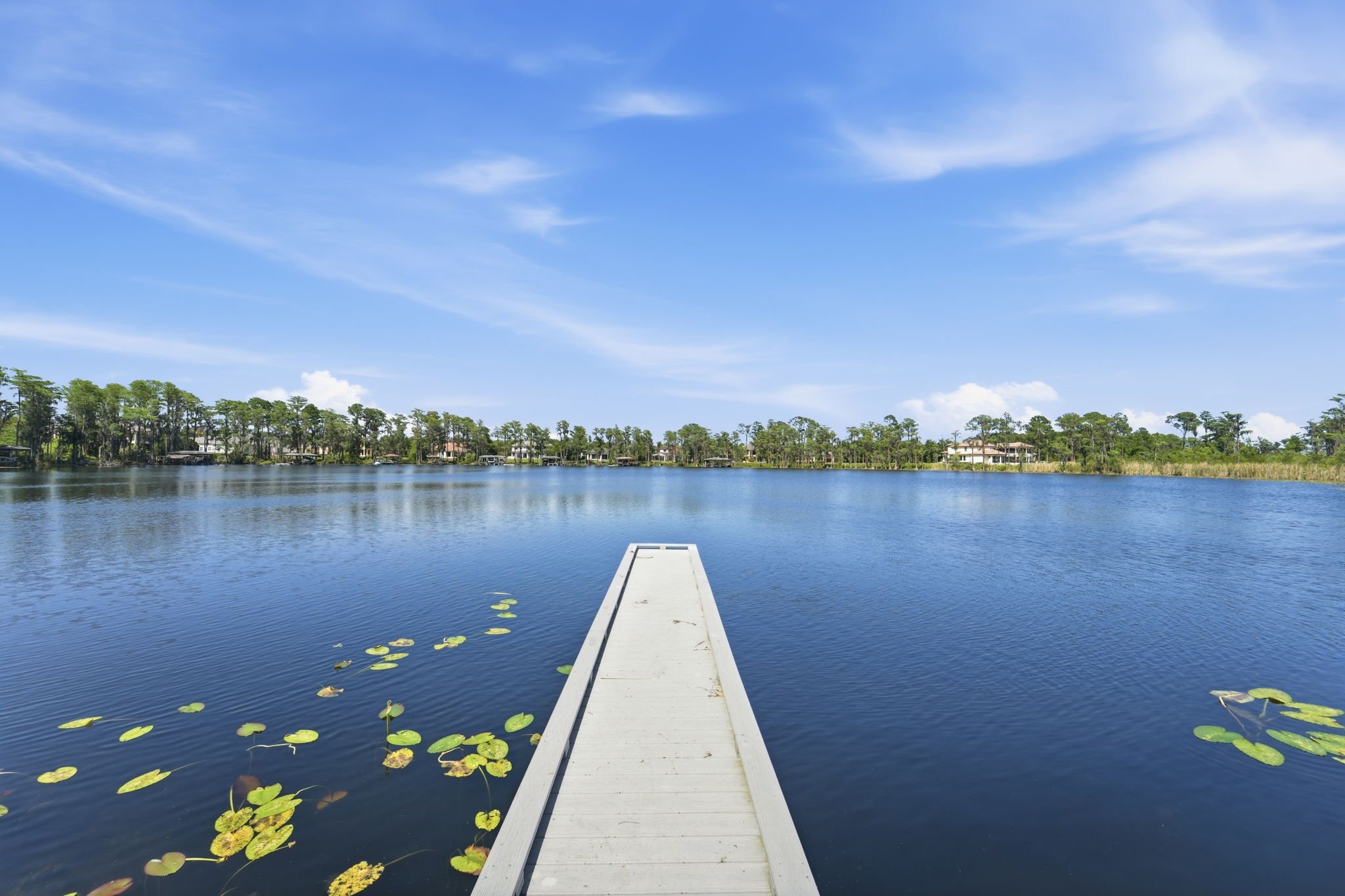 Lakefront property photography by Majestic Vues in Central Florida