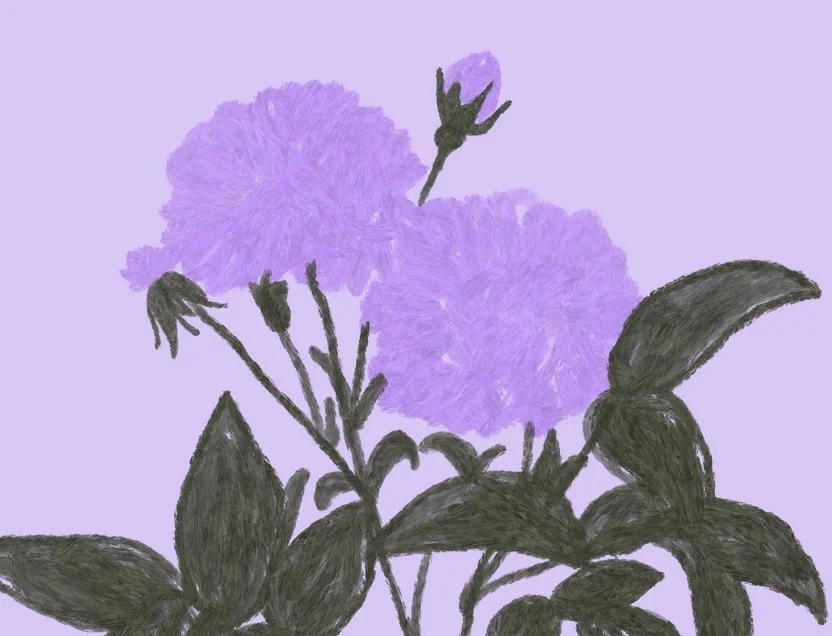 5 recommandations de livres pour favoriser la guérison collective et créer des communautés plus résilientes