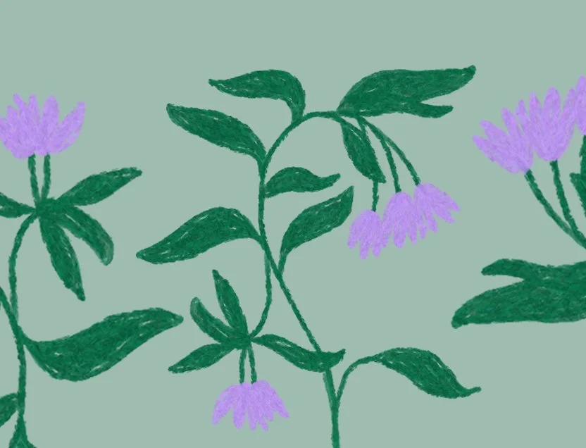 5 recommandations de livres pour repenser notre relation avec la terre et les autres, tout en réfléchissant à une transformation sociale.