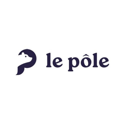 Logo avec un emblème abstrait ressemblant à un bot à côté du texte 'le pôle'