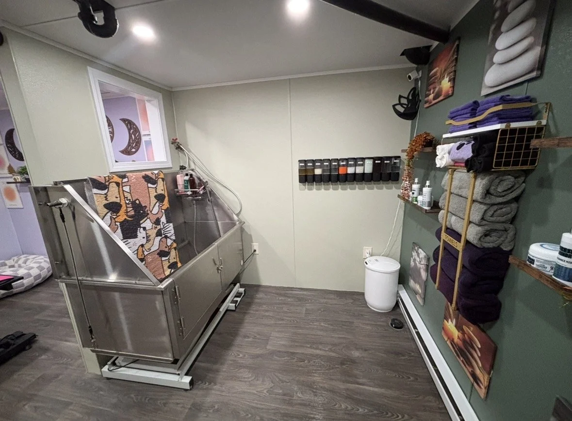 A pet grooming or bathing station with a stainless steel tub, towels, and grooming supplies, in a room with wood flooring and decorated walls.