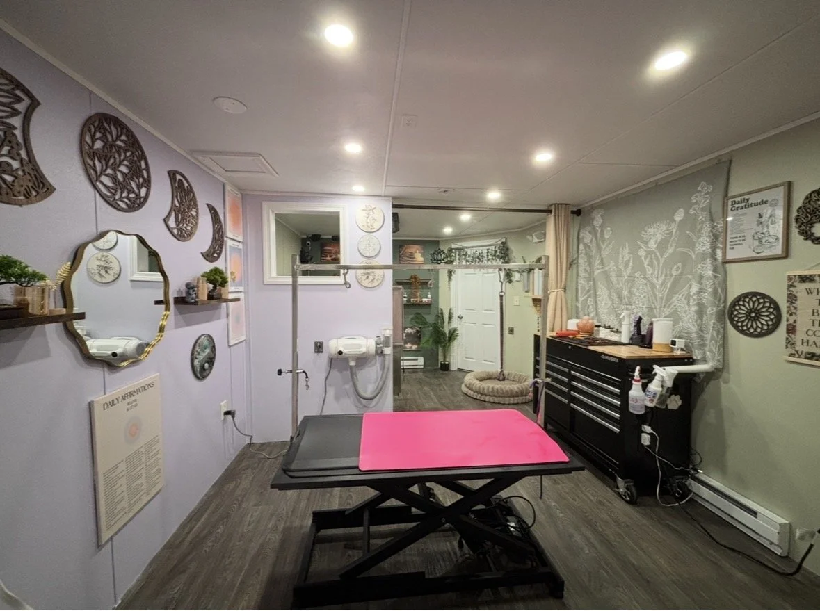 An interior room with a massage table, wall decorations, a mirror, shelves with plants, a grooming station, and a curtain.