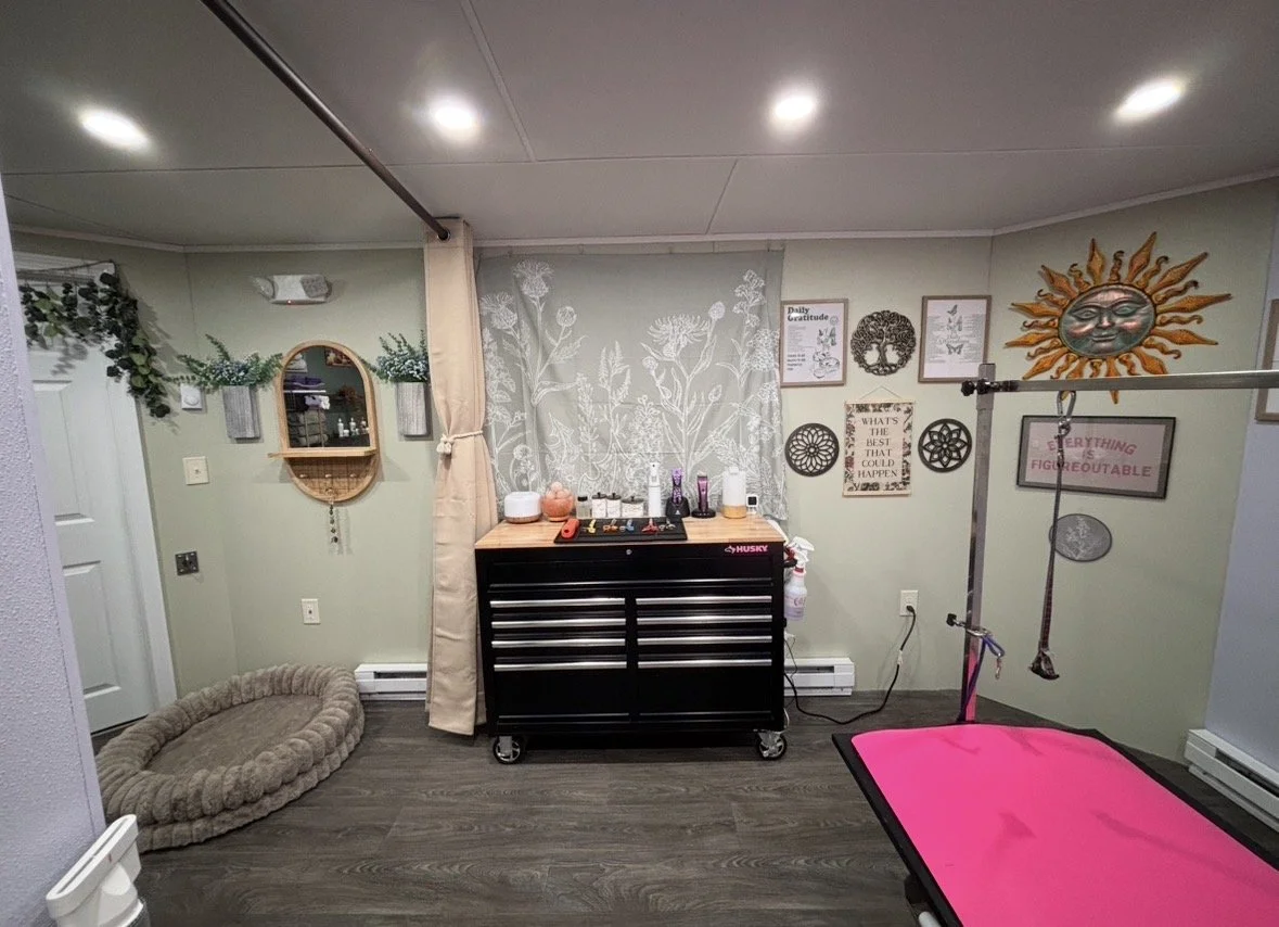A room with a black tool chest, a pink therapy or exercise table, wall decorations, and a dog bed on the floor.