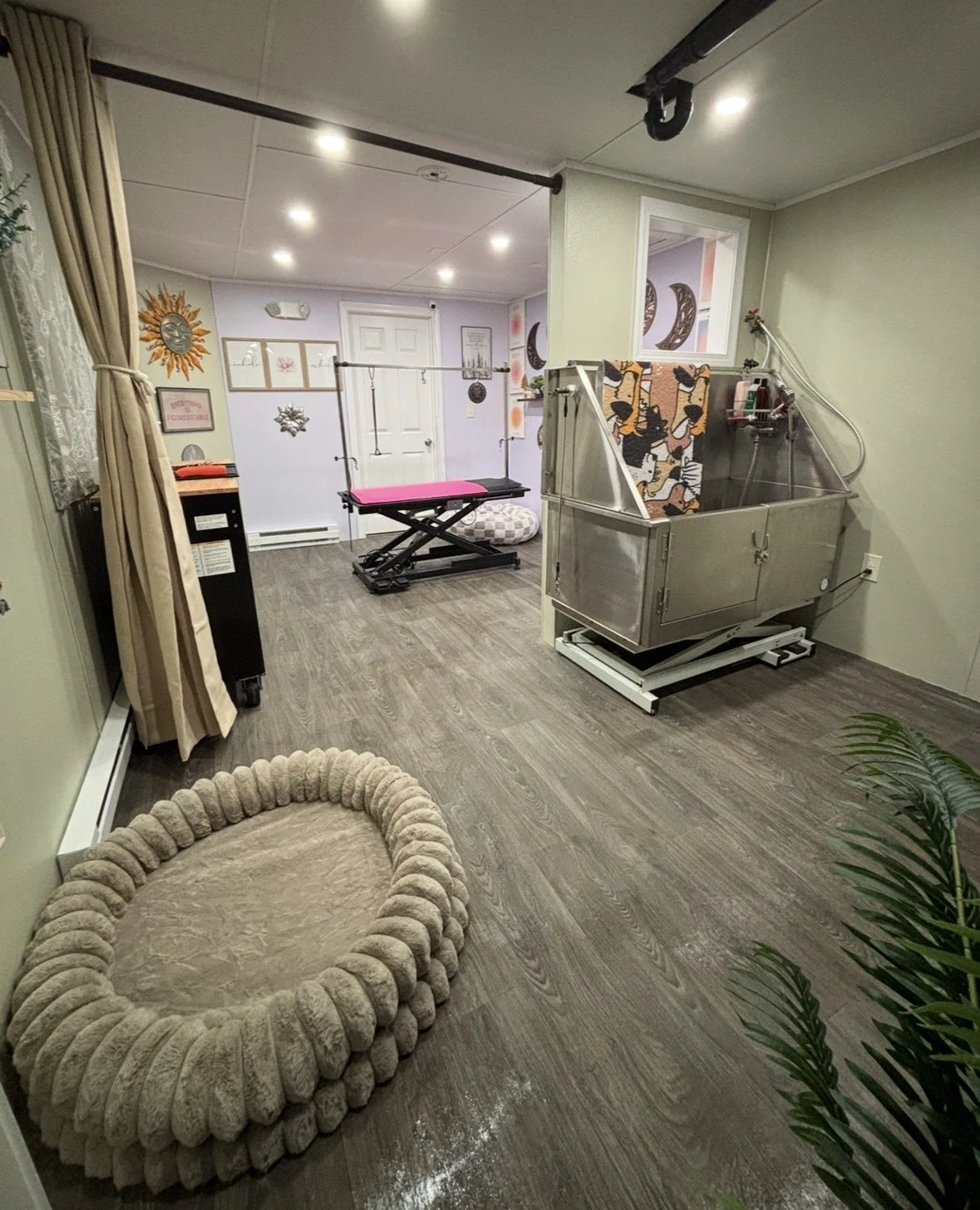An infrared therapy or heating bed, a grooming or therapy table, a cozy pet bed, and decorative wall art inside a pet care or therapy room.
