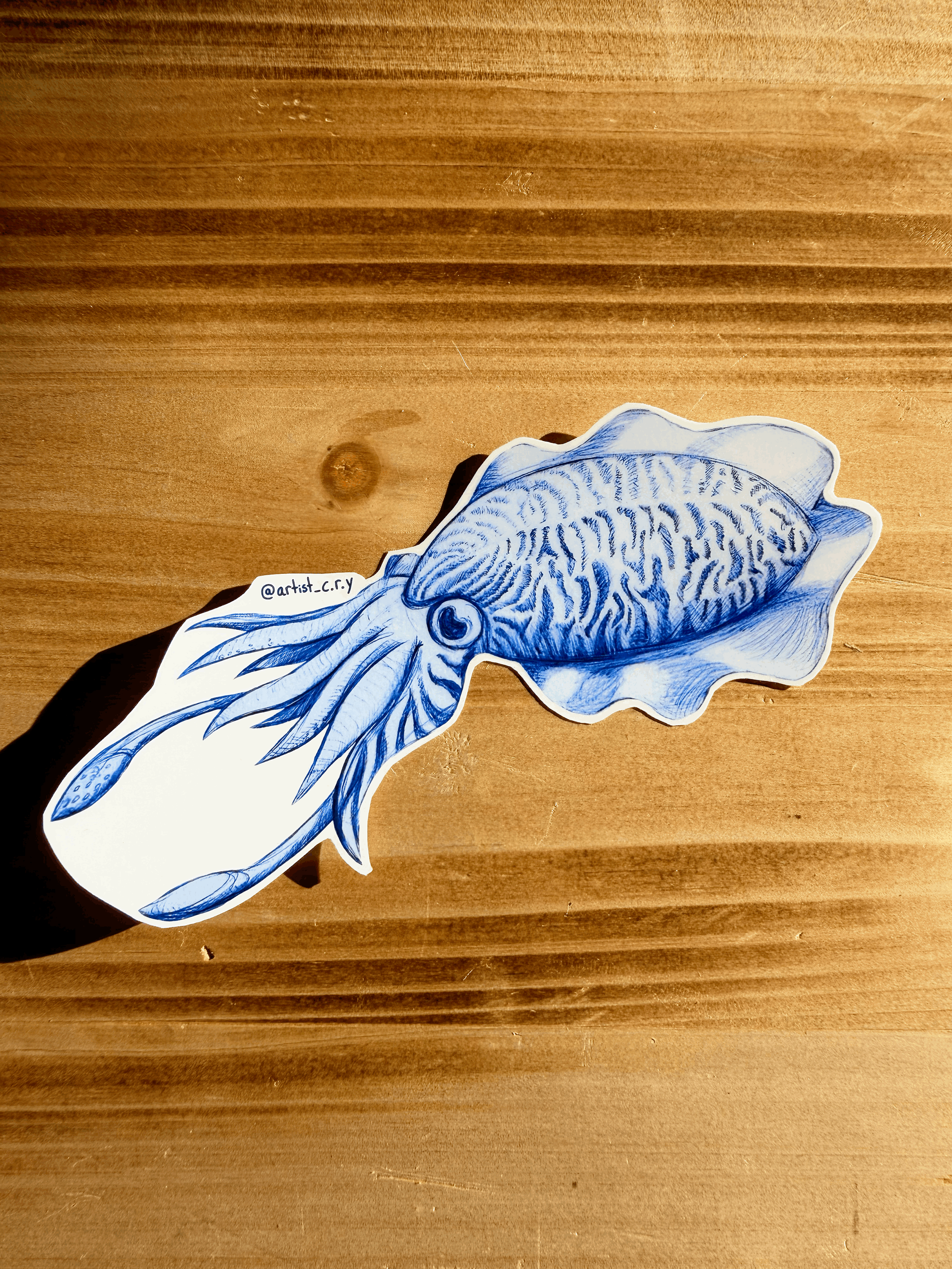 Cuttlefish Sticker