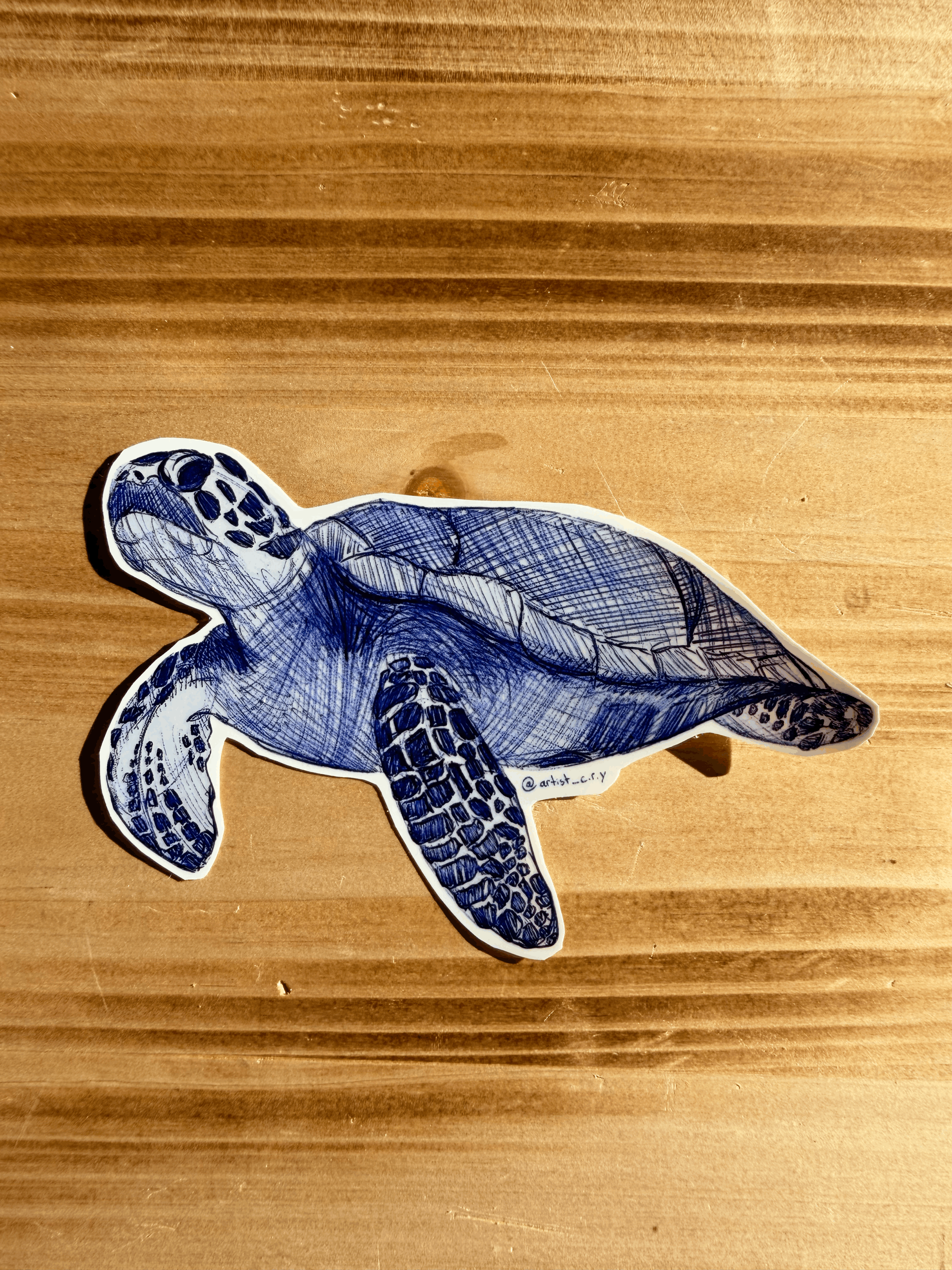 Sea Turtle Sticker