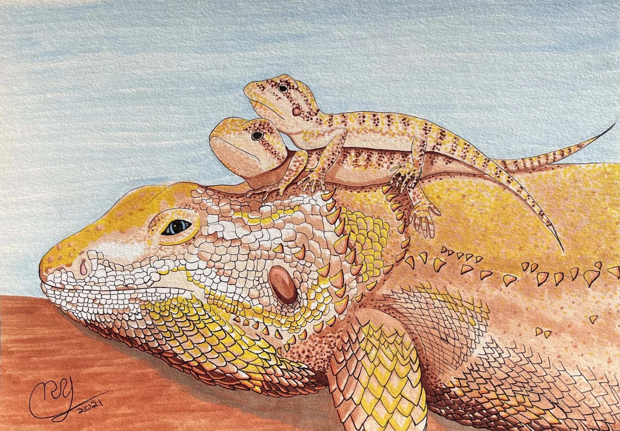 Colorful illustration of a couple small spiny lizards on top of a larger spiny lizard, both depicted with detailed scales and patterns.
