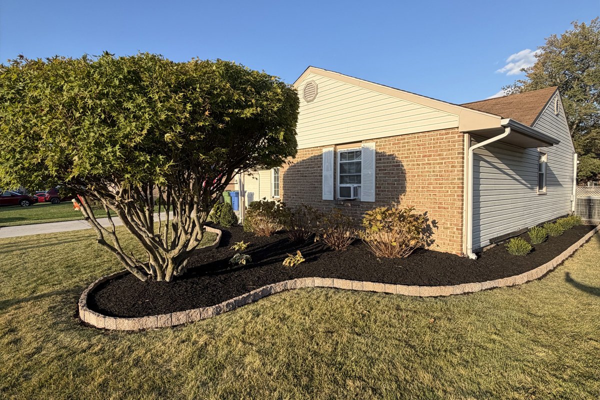 Side yard landscape design in Washington Township, NJ, highlighting a large multi-trunk ornamental tree beautifully framed by a sweeping stone block retaining border and deep black mulch beds along a brick home.