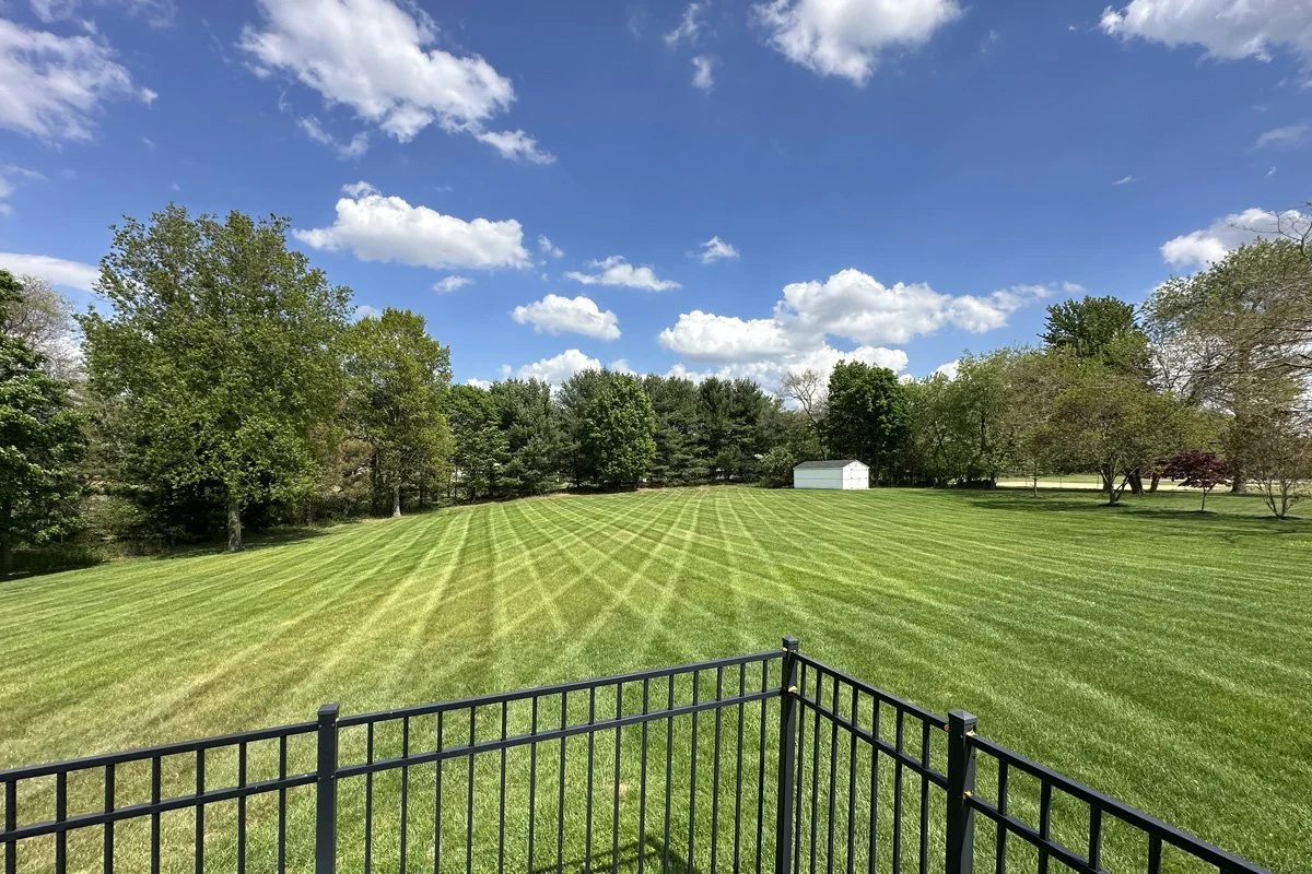 A massive, manicured green backyard featuring crisp professional diamond pattern lawn striping behind a black aluminum fence.