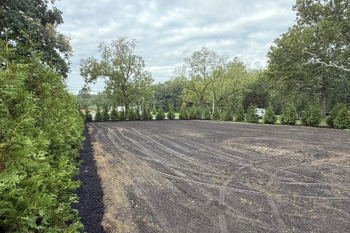 A wide view of a large residential lot in Gloucester Township, NJ, featuring a massive property border screen created by 145 newly planted Green Giant Arborvitae trees.