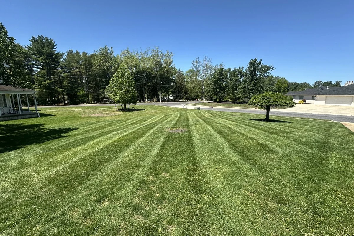 Perfect straight-line lawn cutting results on a expansive suburban front yard property under a bright blue sky.