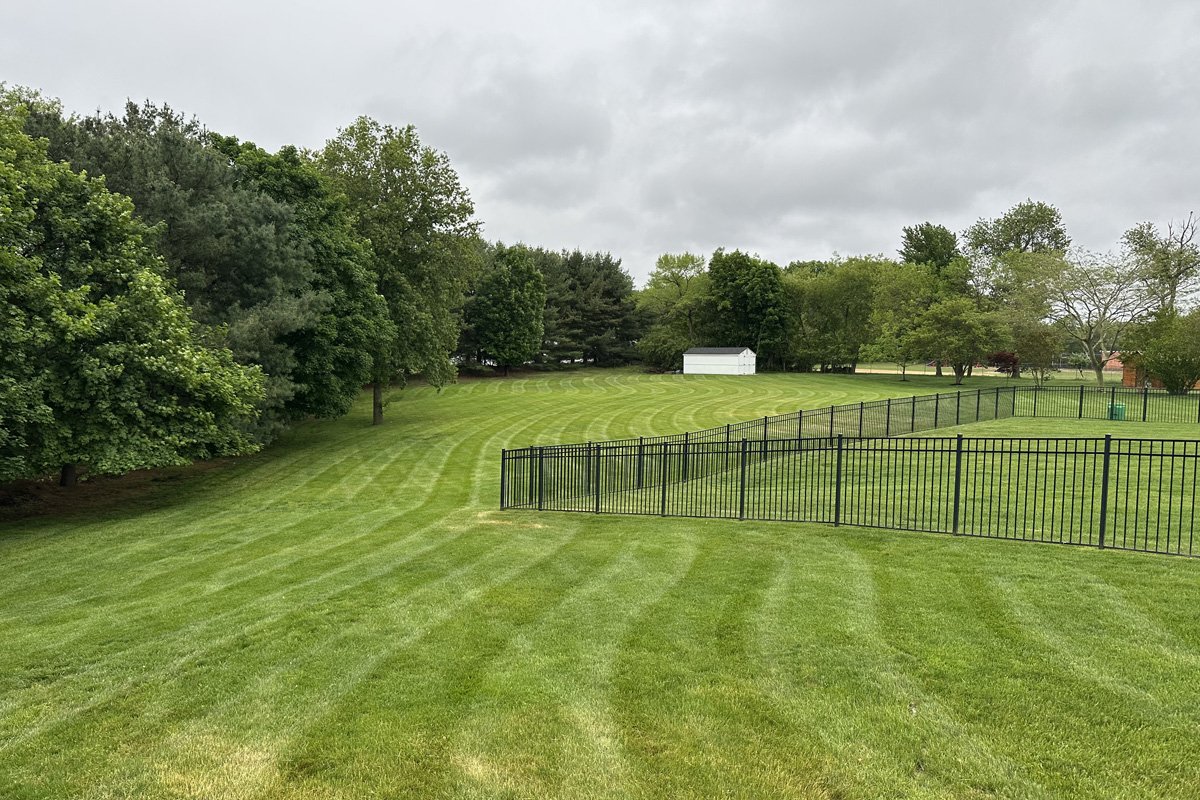 Wide-angle view of a vast residential property showing curved contour lawn striping on a hill rolling past a black metal fence under cloudy skies.