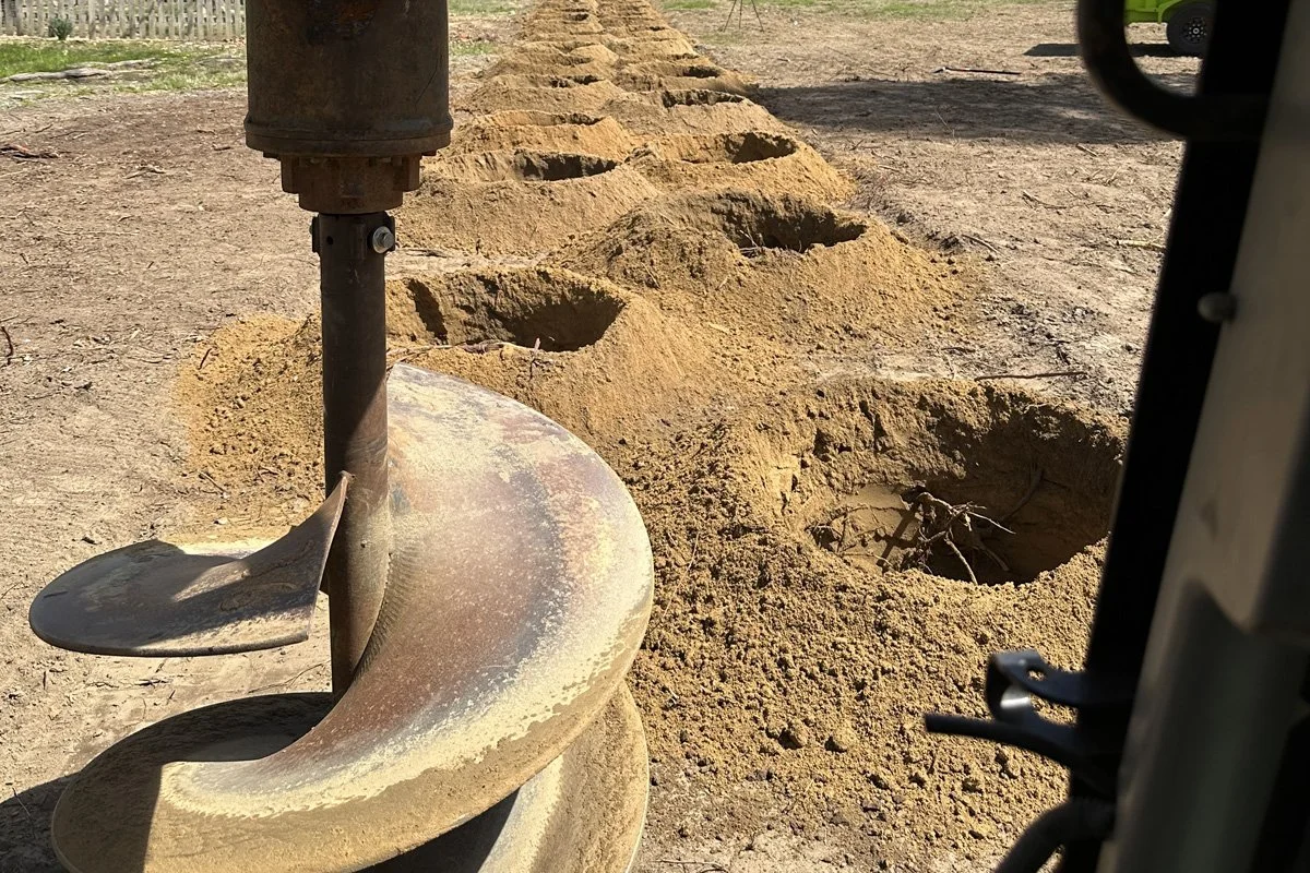 A heavy-duty hydraulic earth auger attachment on a skid steer drilling a long row of holes for a privacy tree hedge installation.