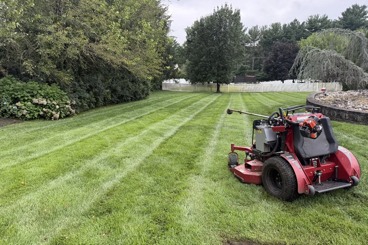 A red commercial stand-on zero-turn lawn mower parked on a lush green yard featuring perfect, straight-line professional lawn cutting stripes.