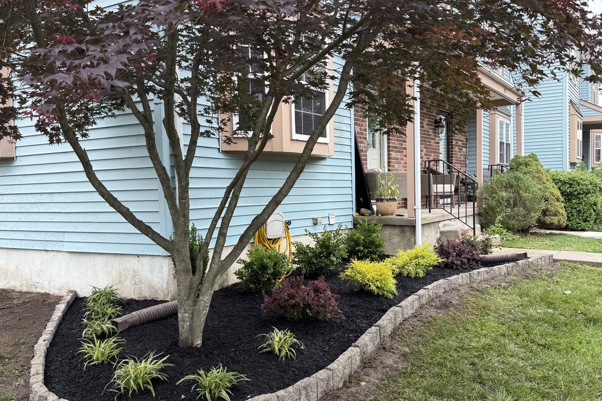Close-up view of a completed landscape design project in West Deptford featuring a mature Japanese Maple tree framed by a clean stone block border, colorful perennials, and fresh mulch.