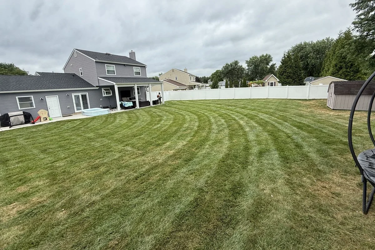 A massive residential backyard with crisp, sweeping curved lawn striping behind a gray vinyl-sided home with a white vinyl privacy fence under an overcast sky.