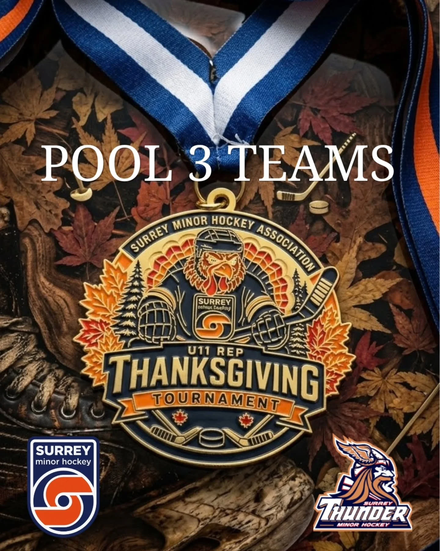 Pool 3

Pucks drop this weekend! 🏒🦃

​Surrey Minor Hockey is thrilled to welcome all players, coaches, families, and fans to our annual Thanksgiving U11 Rep Tournament.

@smha_tournaments

#Surreyminorhockey #smhatournament #HockeyTournament