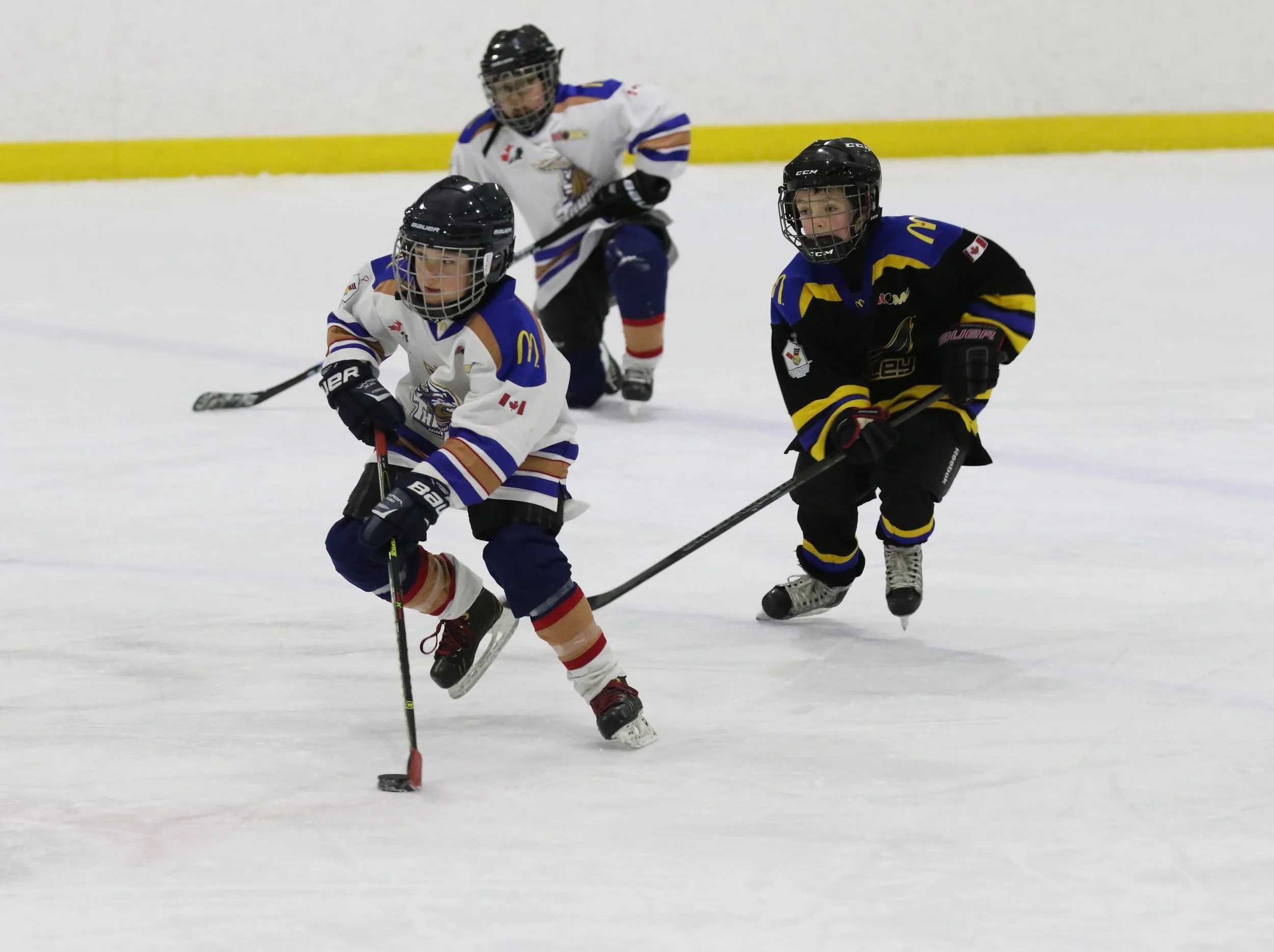 Young children playing ice hockey on the ice rink, wearing hockey gear, including helmets and gloves, with a plain white background and yellow trim on the rink walls.