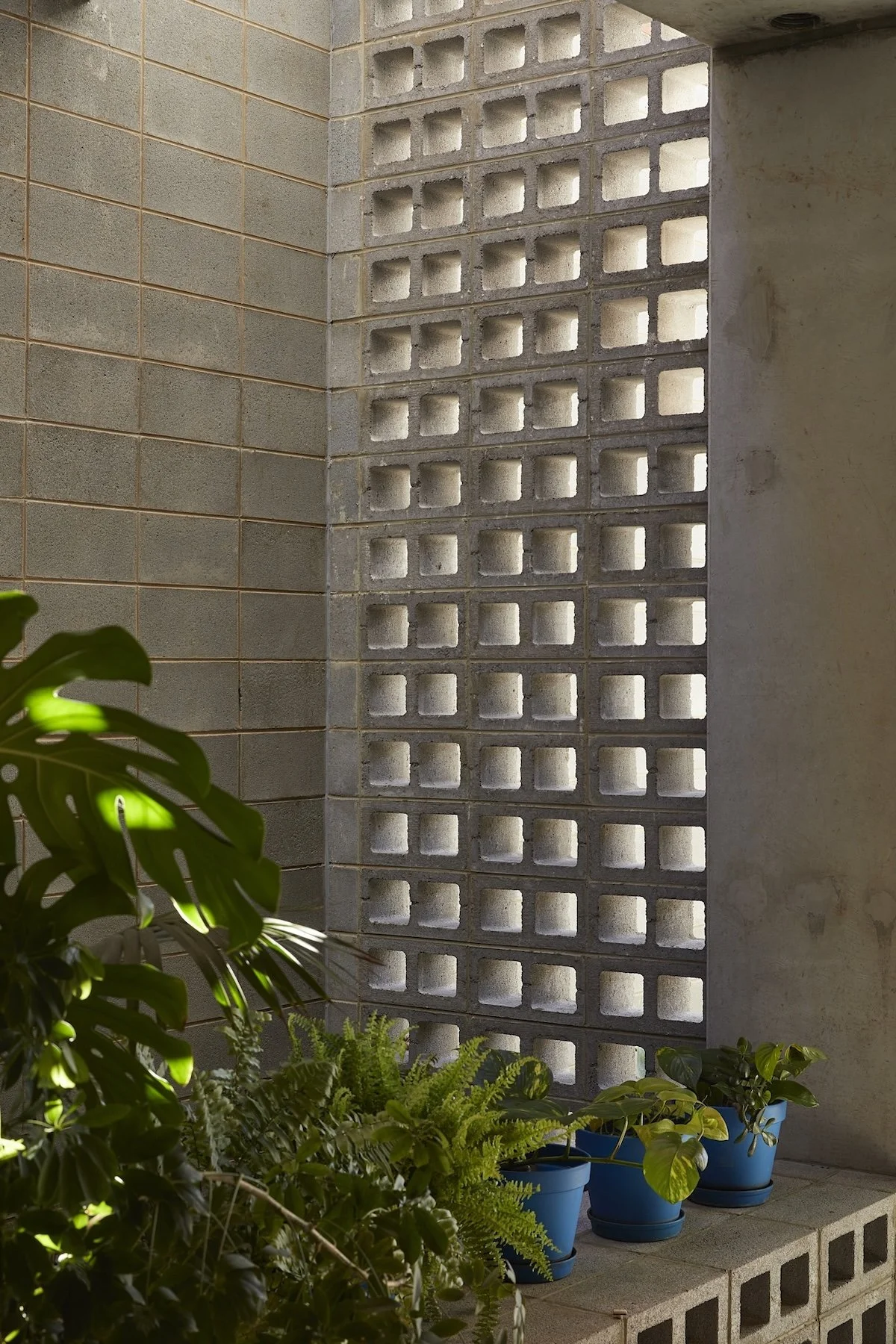 AMA_Terrace__P5A4144.jpg