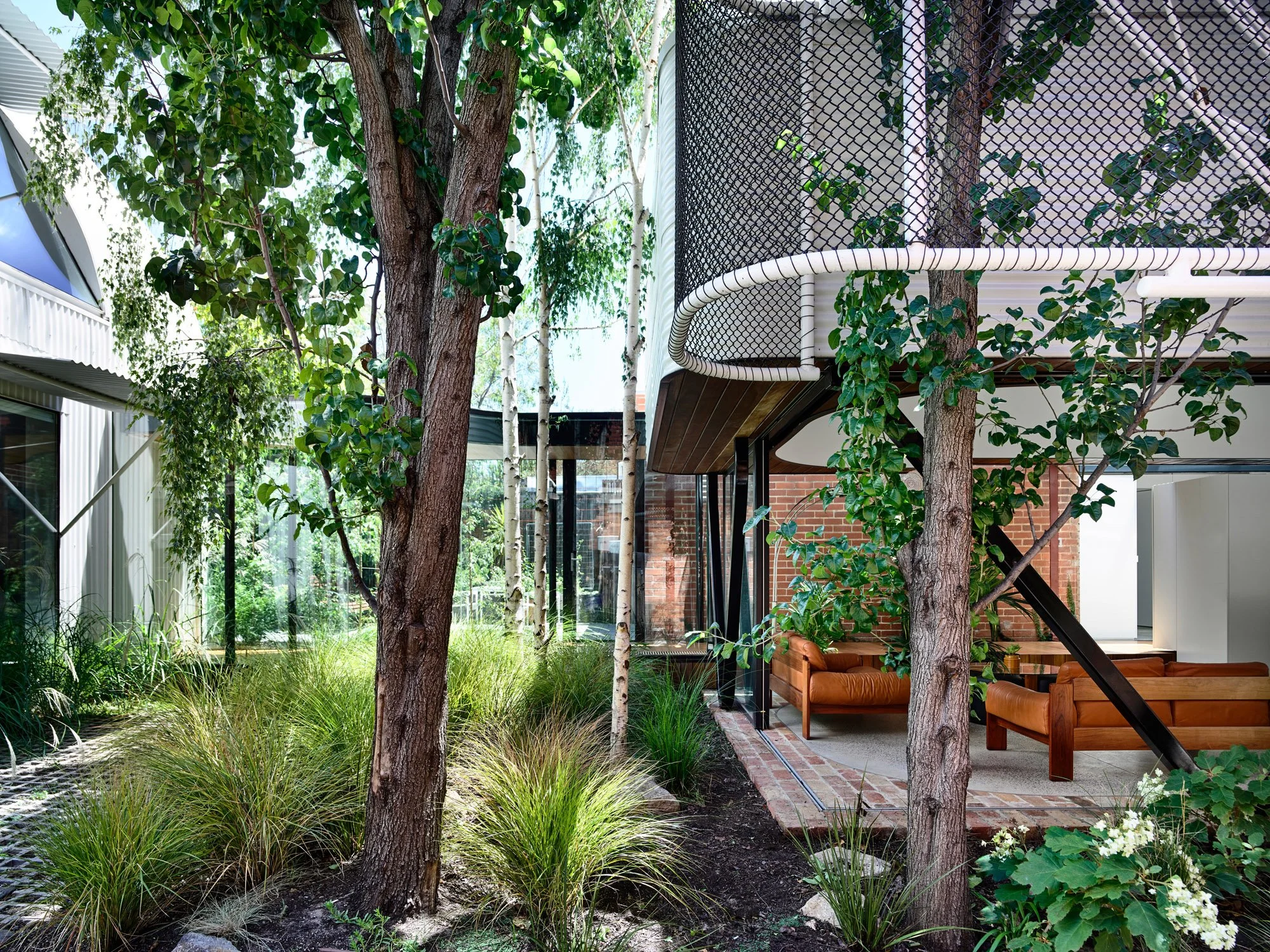 19King_Bill_Austin_Maynard_Architects.jpg