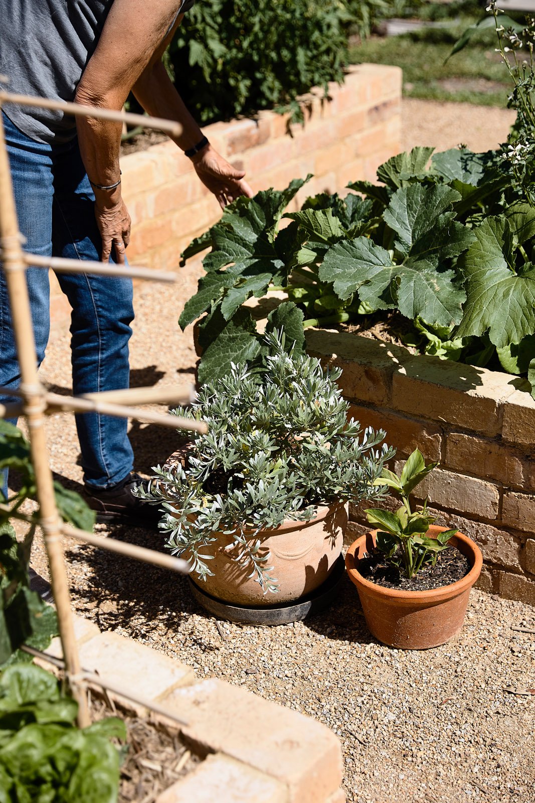 AMA-Terracotta_House_Derek_Swalwell.087.jpg