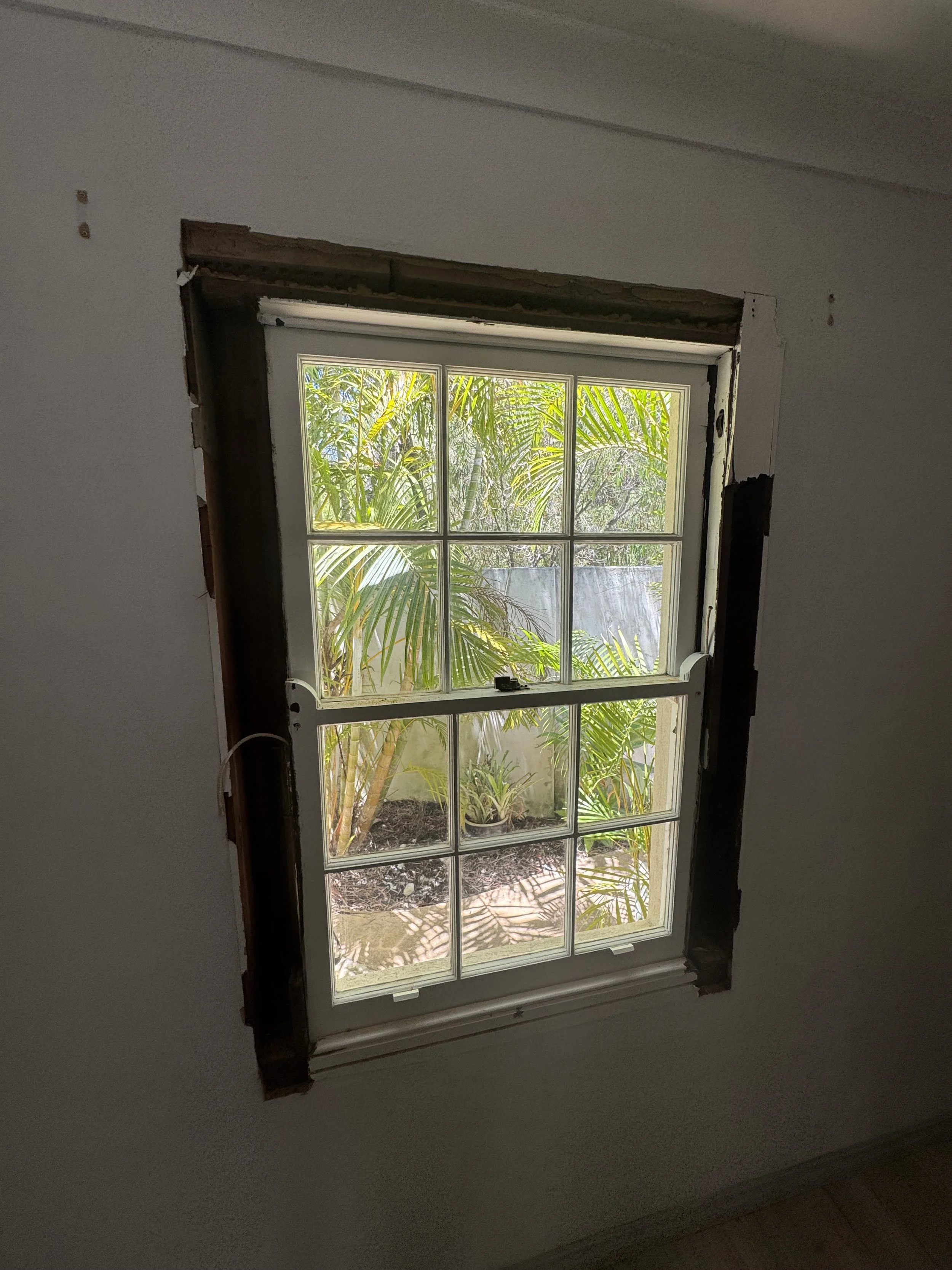 A partially constructed window in a wall with an outdoor view of lush green plants, showing the inside and outside contrast.