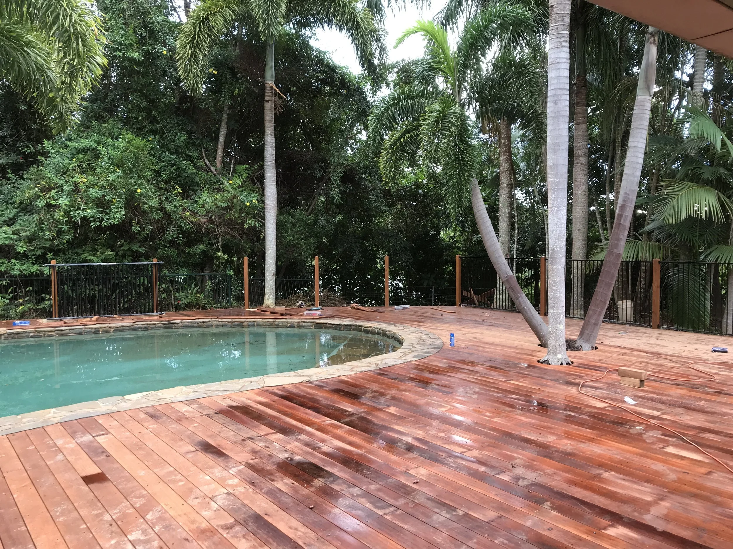 A backyard with a swimming pool, a wooden deck, a black metal fence, and a backdrop of dense green trees and tall palm trees.