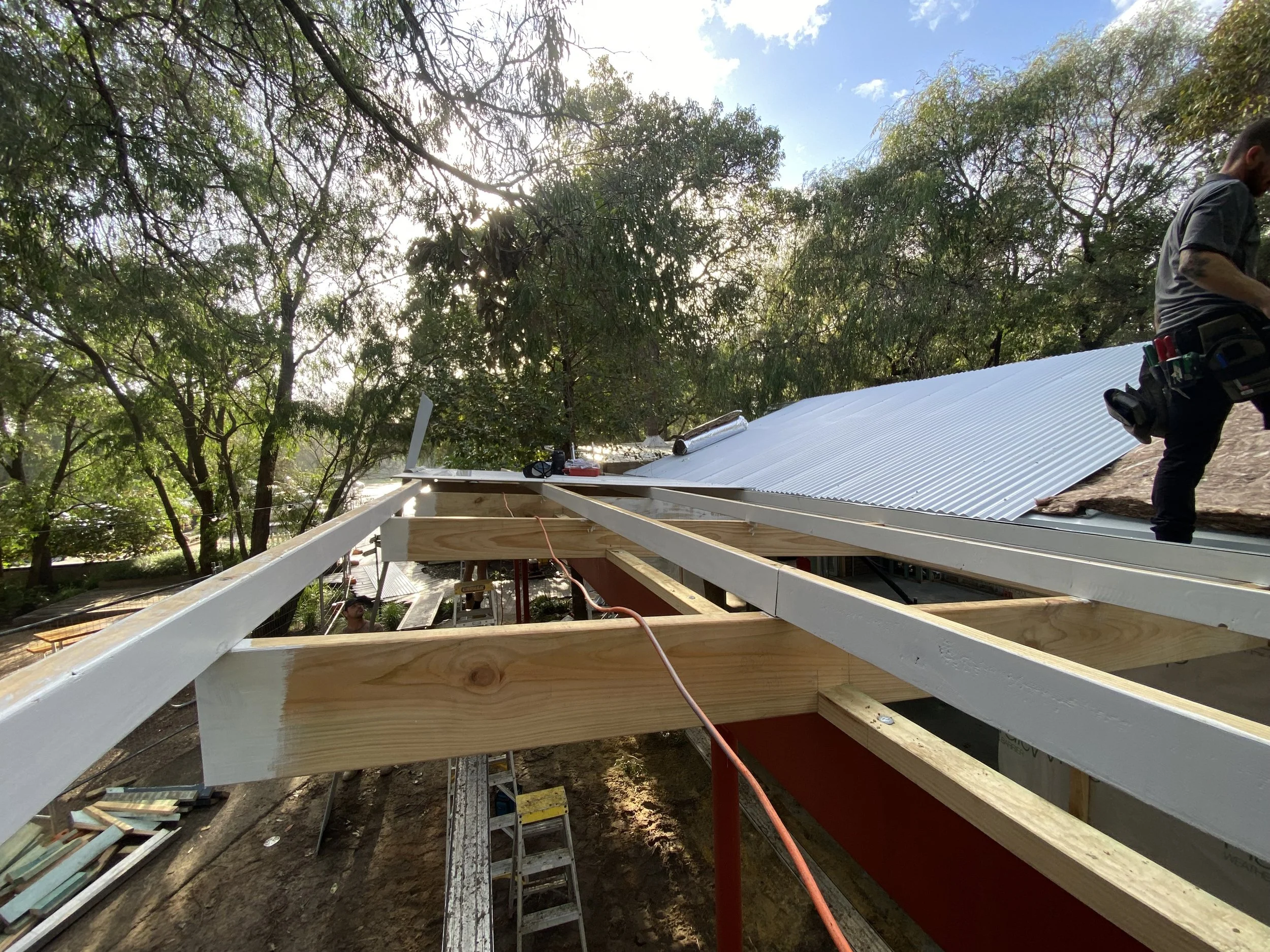 Construction workers installing a metal roof on a building surrounded by trees, with sunlight filtering through the branches.