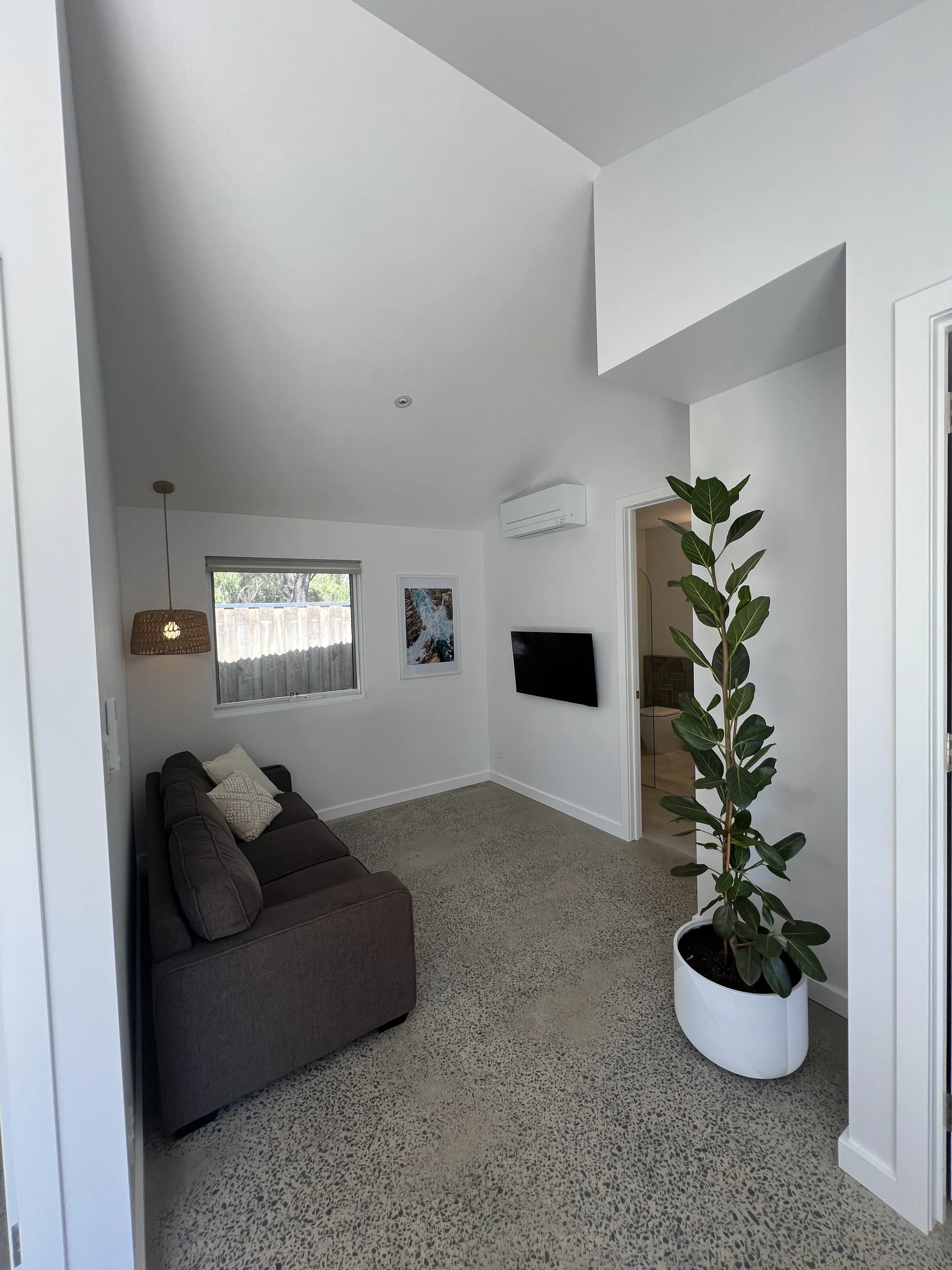 Living room with white walls, a brown couch with pillows, a large potted plant, a window, and a wall-mounted TV.