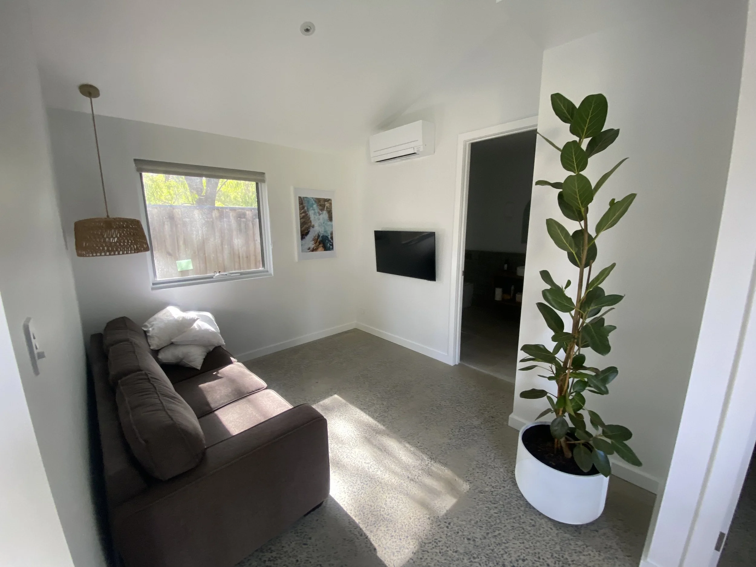 Living room with a brown sofa, a window with a view of trees, a wall-mounted TV, a framed picture, an air conditioning unit, and a tall potted plant.