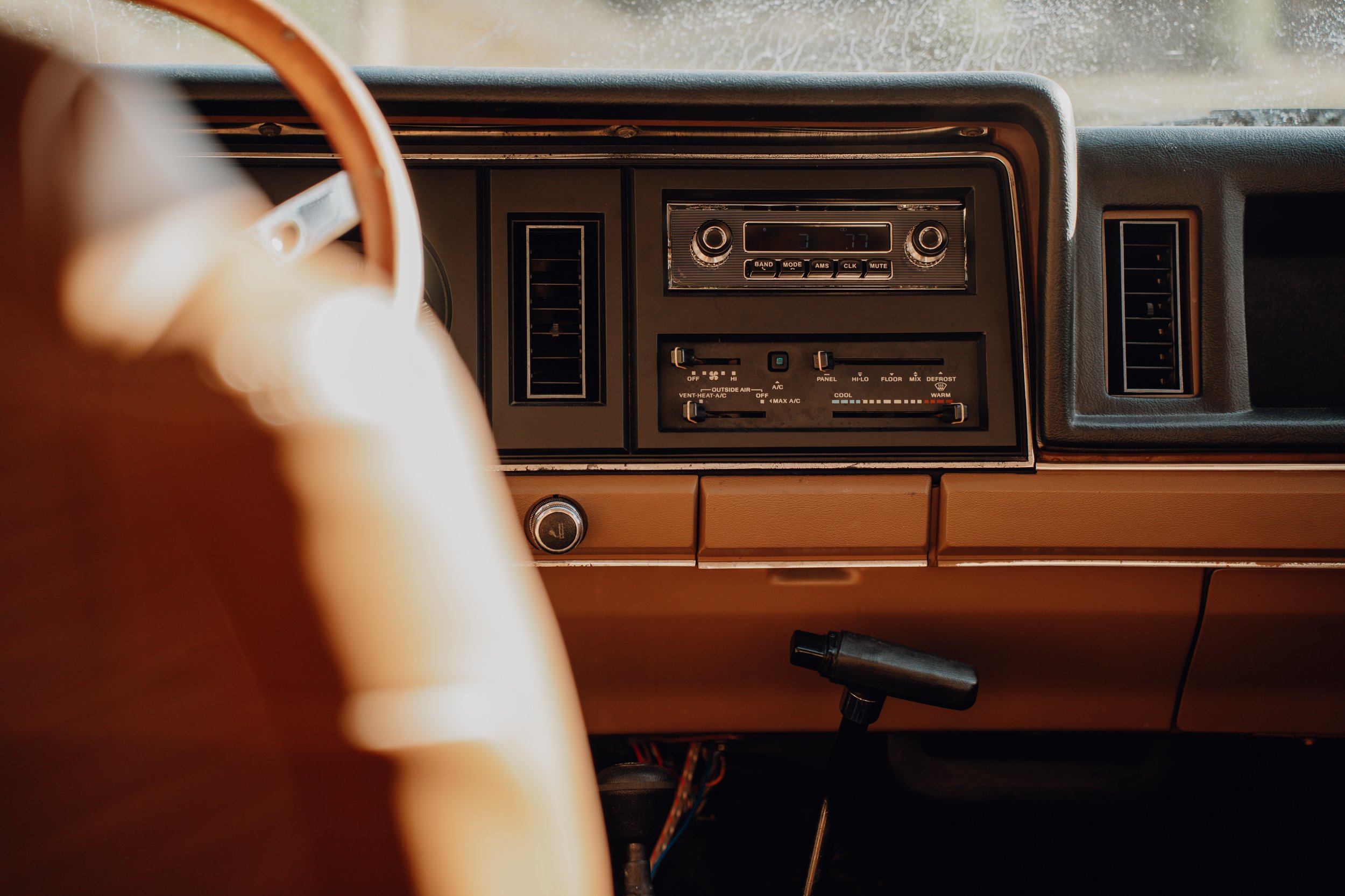 DSC08998.jpg