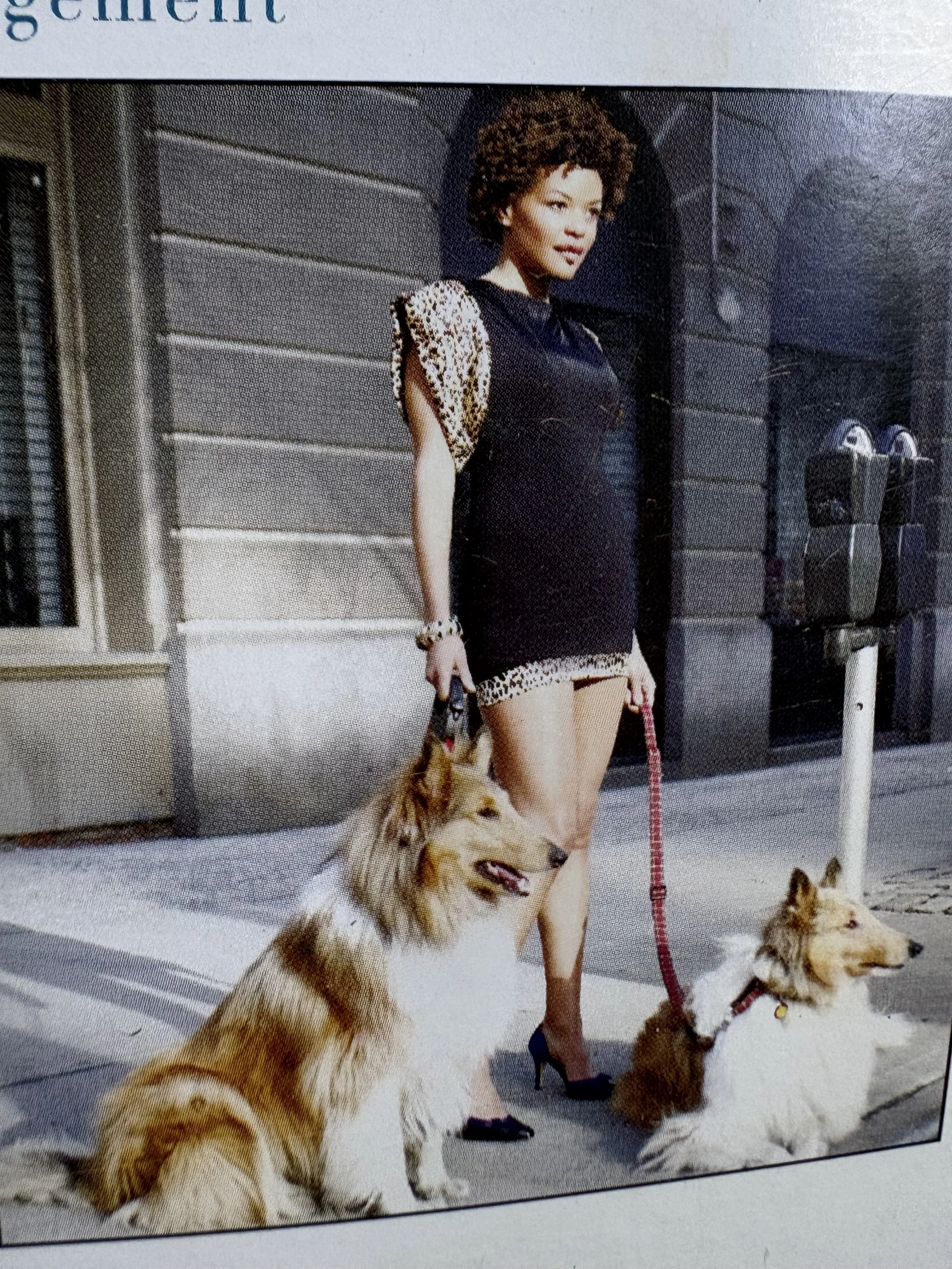 A woman with curly hair wearing a black dress with leopard print sleeves is walking two dogs on leashes. One dog appears to be a Siberian Husky and the other a smaller dog. They are outside near a building with grey siding.