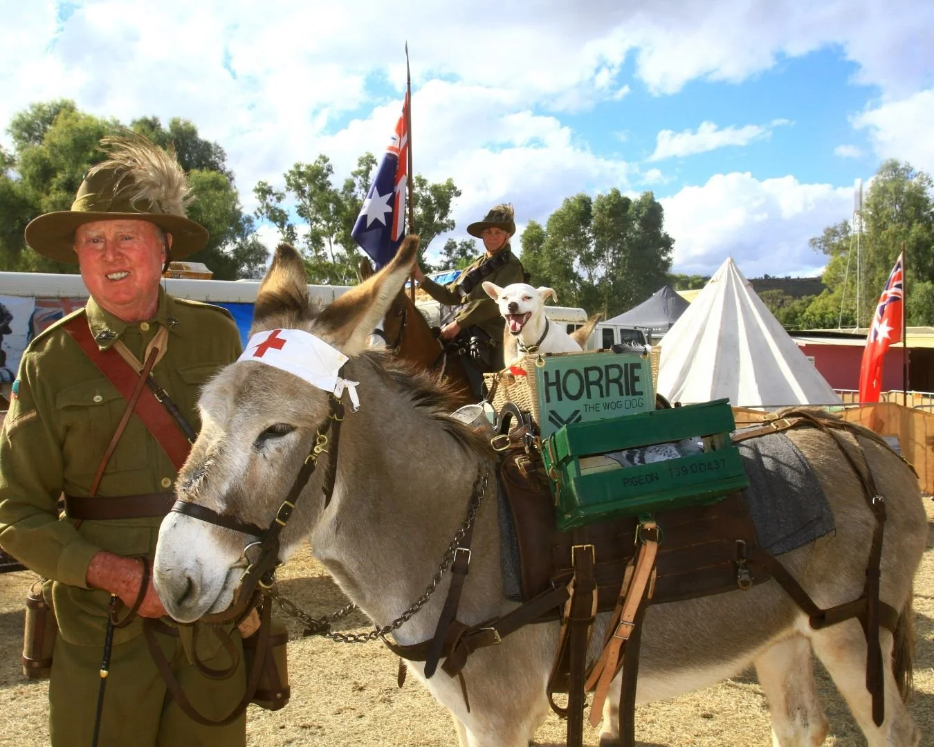 australianlighthorsedisplay at the portlincolnshow2026