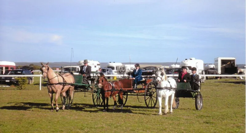 2011-harness.jpg