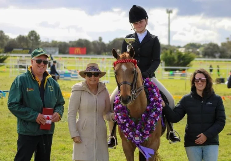 best-in-show-horse.jpg
