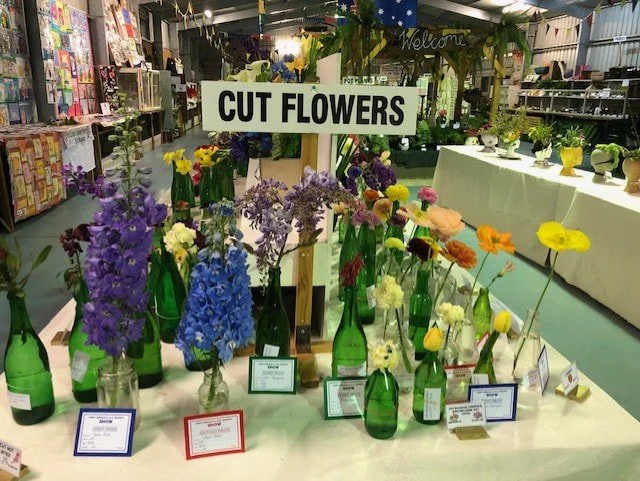 cut-flowers-pic_orig.jpg