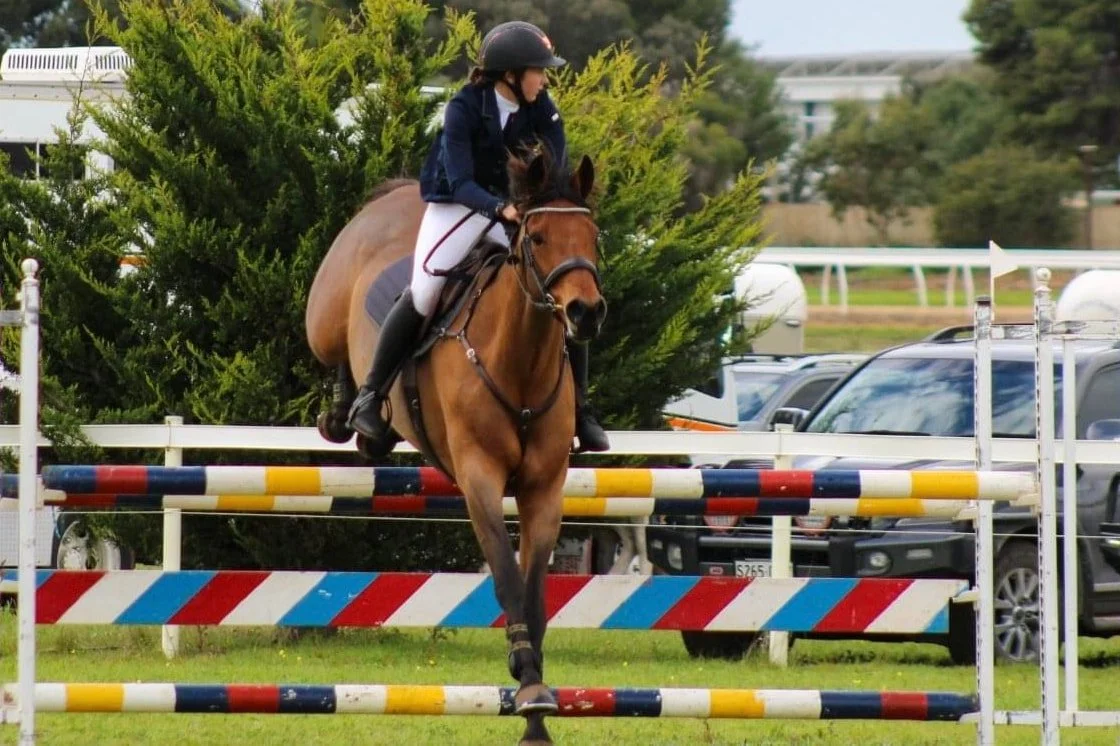 show-jumper-2.jpg