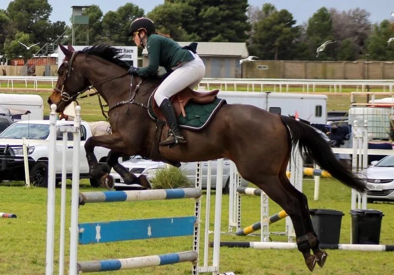 show-jumper.jpg
