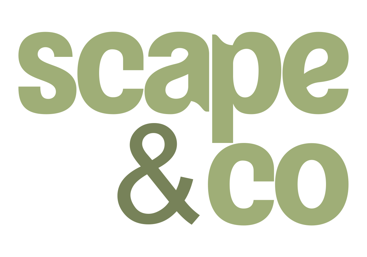 Scape &amp; Co