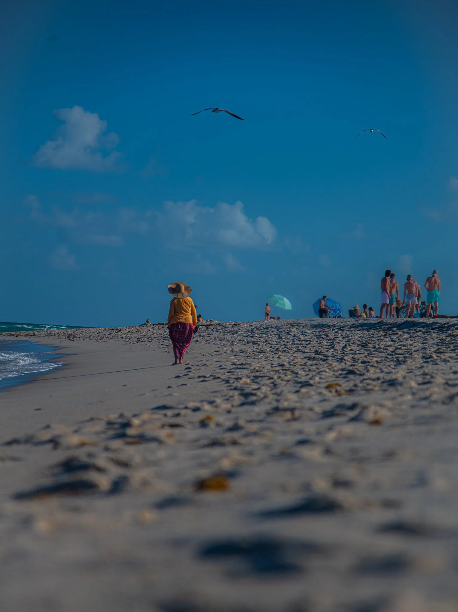 DSC_2918-2.jpg
