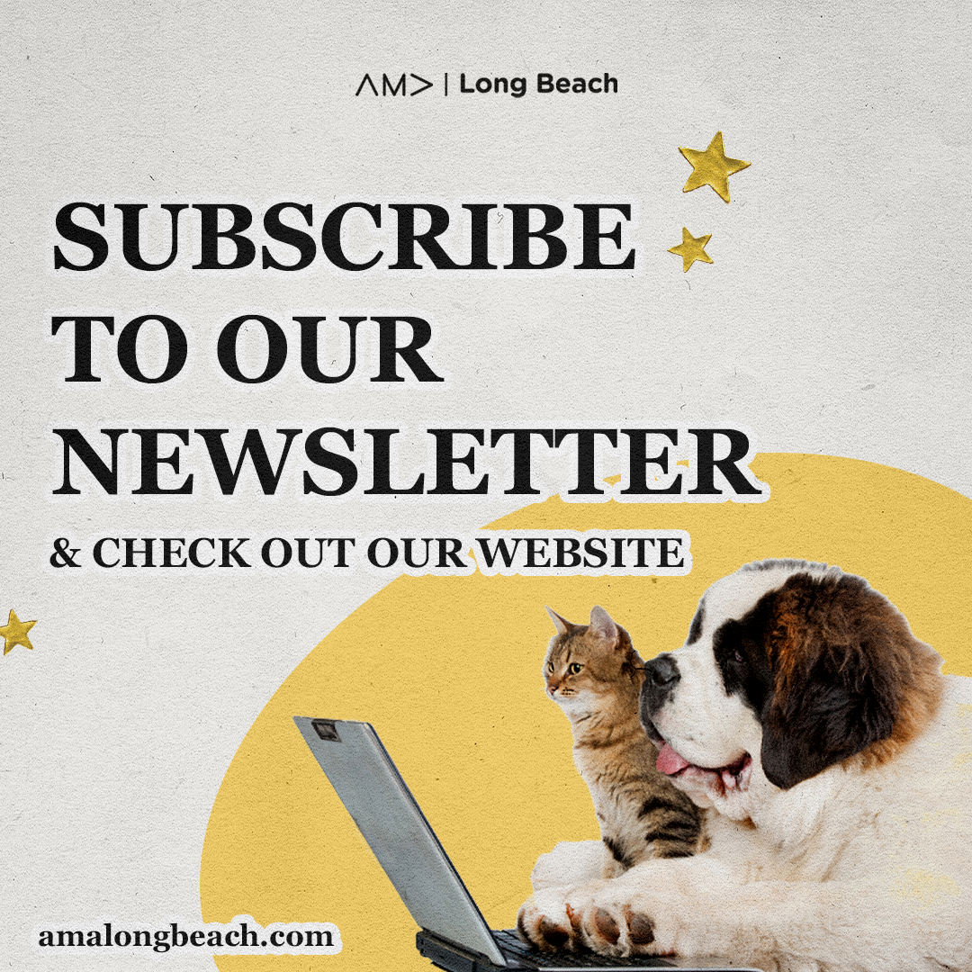 newsletter + websitepng.png