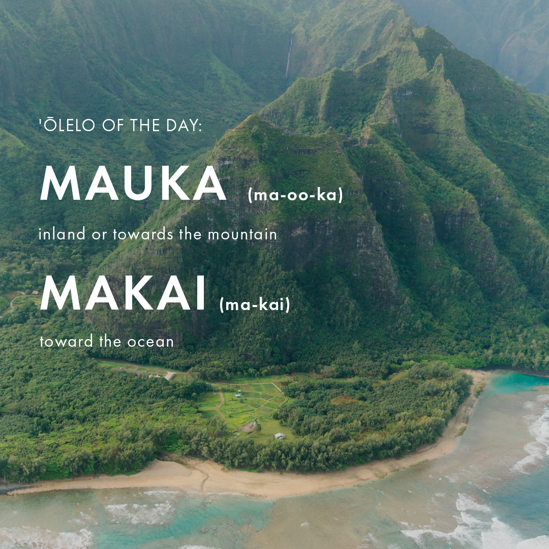 olelo_mauka&makai_mauka & makai.png