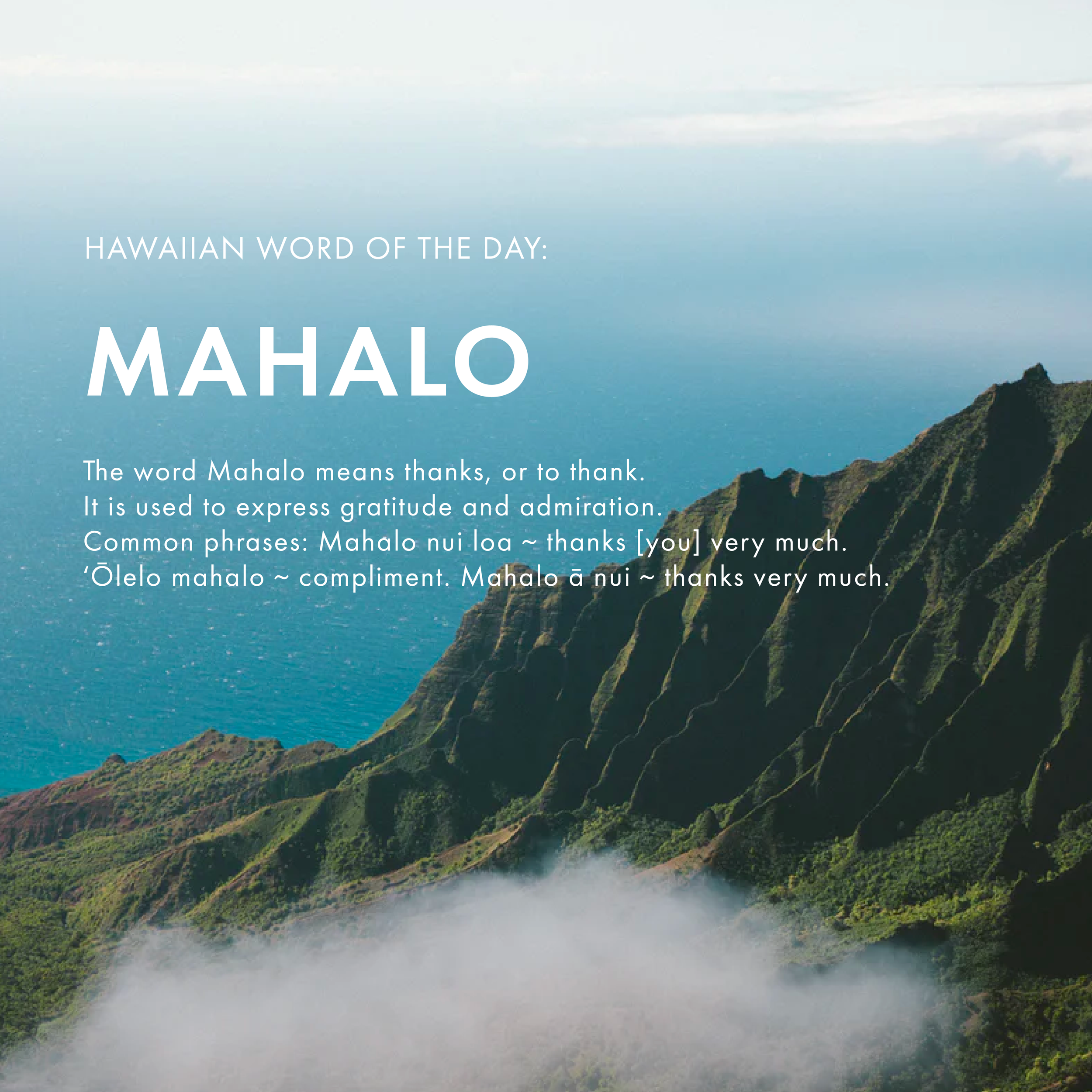 HWOD_mahalo.png