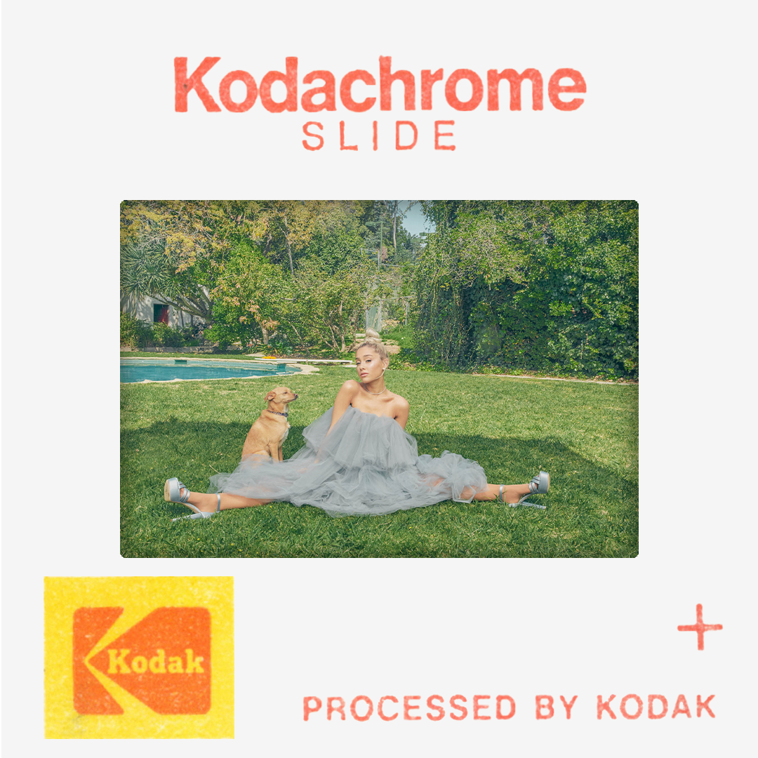 kodac ariana.png