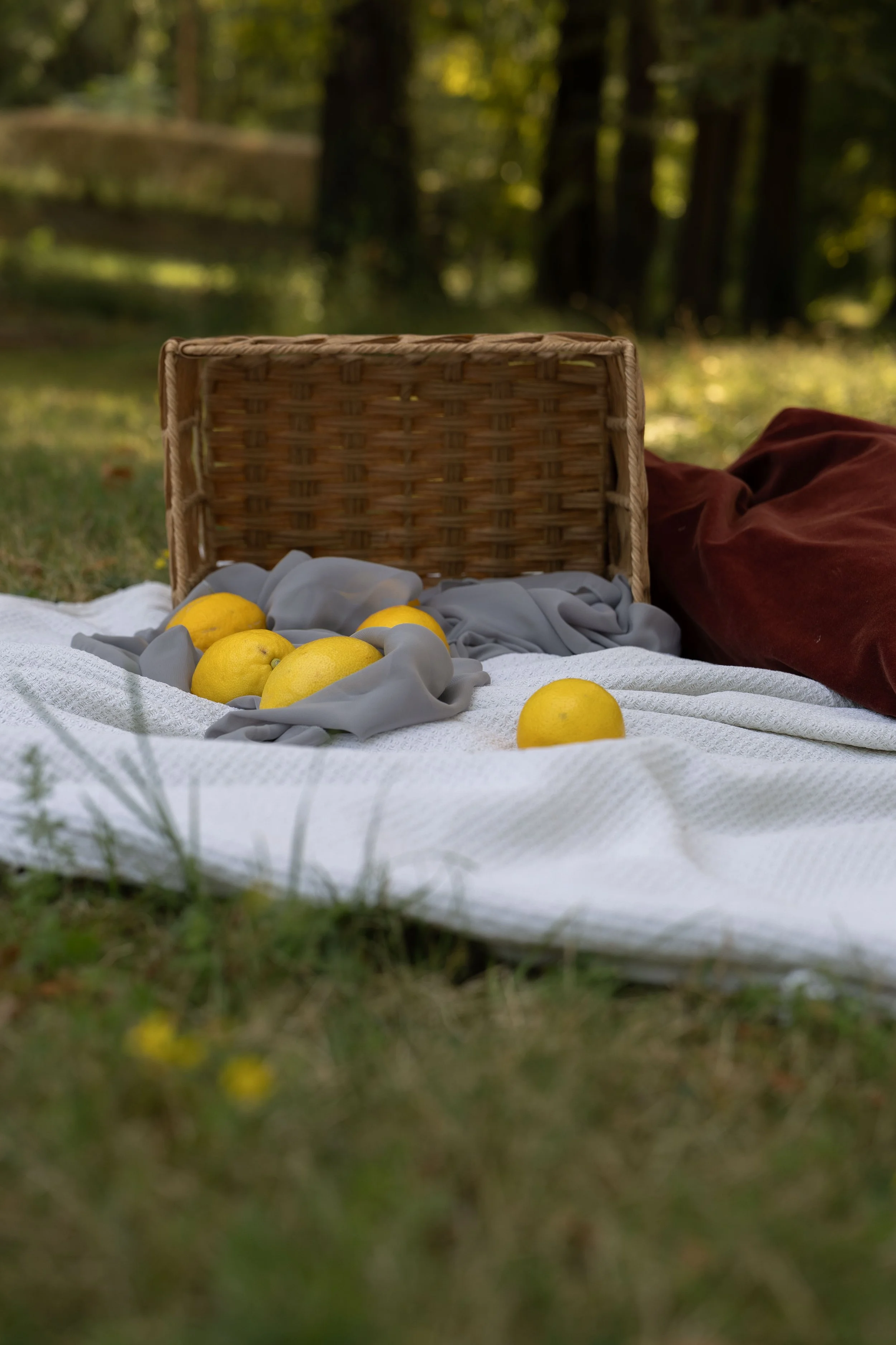 Servizio fotografico bambini all’aperto