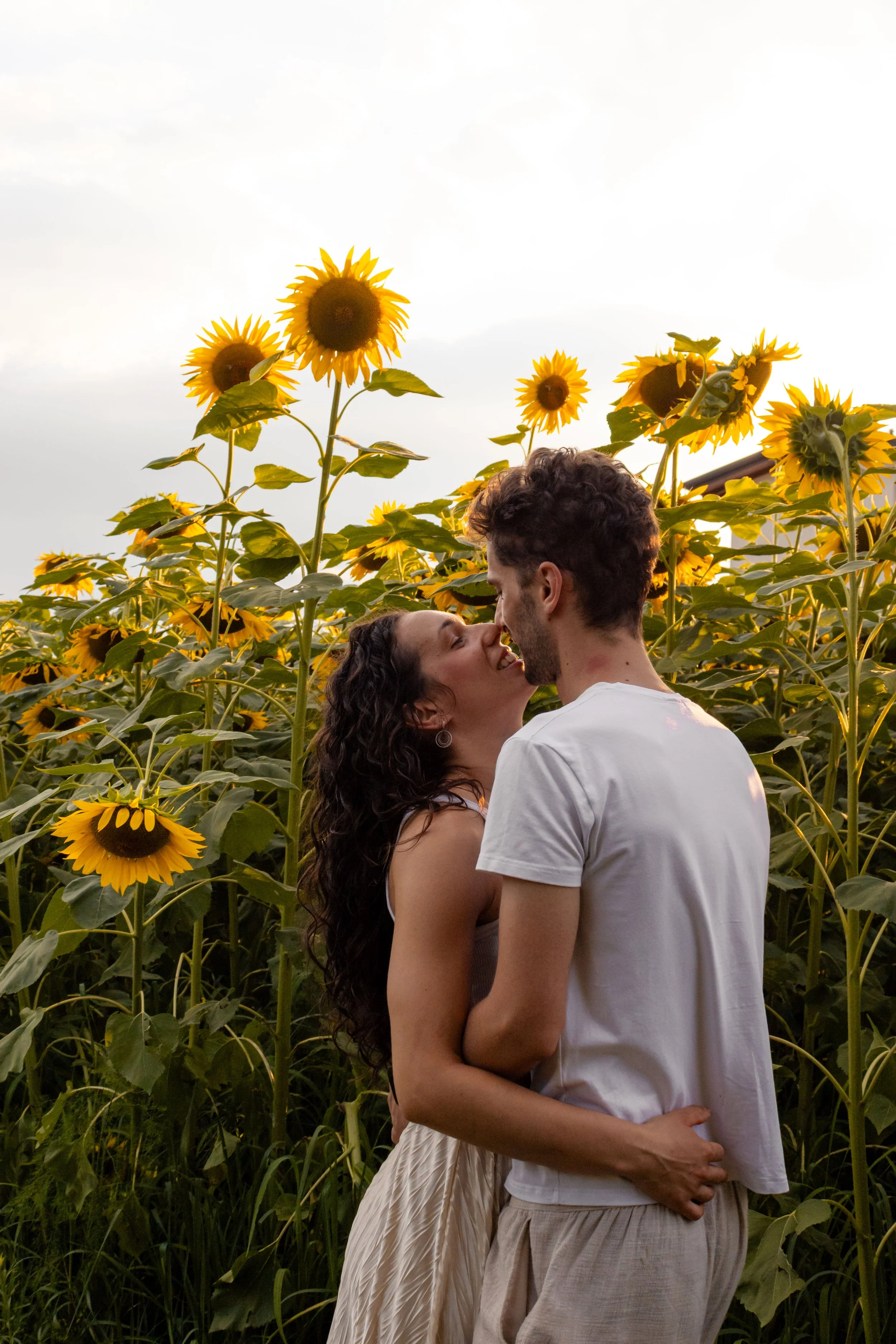Luglio tra i girasoli